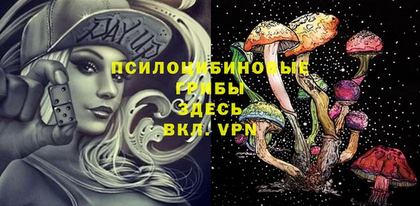 таблы Костерёво