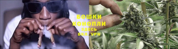 твердый Коряжма