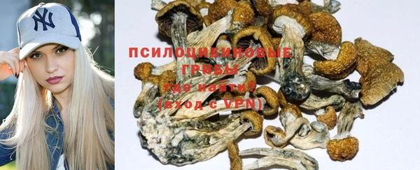 твердый Коряжма