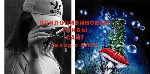 прущие грибы Ростов