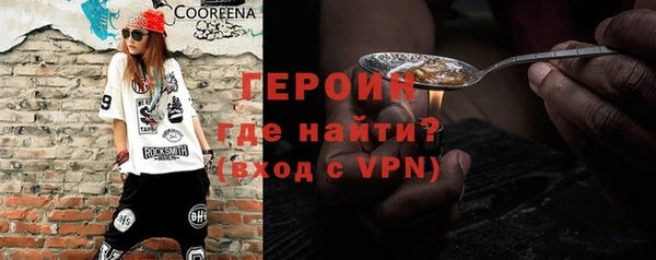 гидра Няндома