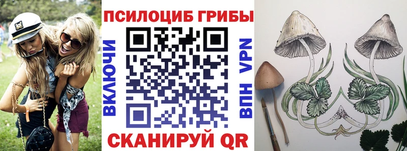 Псилоцибиновые грибы GOLDEN TEACHER  Лысьва 